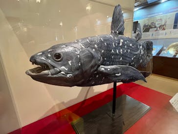 国立科学博物館　特別企画展「ポケモン化石博物館」に投稿された画像（2022/3/15）