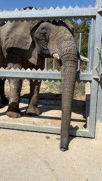 しろとり動物園に投稿された画像（2022/3/15）