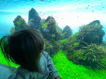 すみだ水族館に投稿された画像（2022/3/15）