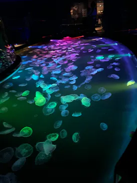 すみだ水族館に投稿された画像（2022/3/15）