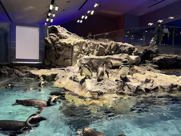 すみだ水族館に投稿された画像（2022/3/15）