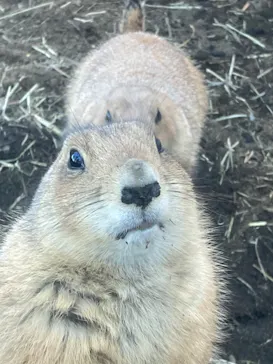 横浜・八景島シーパラダイスに投稿された画像（2022/3/15）