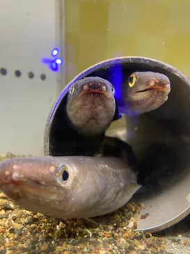 横浜・八景島シーパラダイスに投稿された画像（2022/3/15）