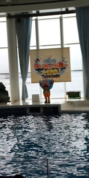 アクアワールド茨城県大洗水族館に投稿された画像（2022/3/15）