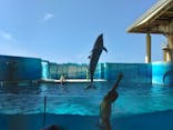 新江ノ島水族館に投稿された画像（2022/3/15）