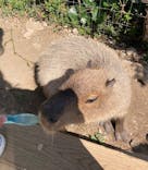 横浜・八景島シーパラダイスに投稿された画像（2022/3/15）