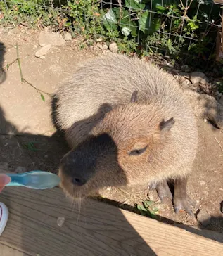 横浜・八景島シーパラダイスに投稿された画像（2022/3/15）