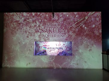 マクセル アクアパーク品川に投稿された画像（2022/3/15）