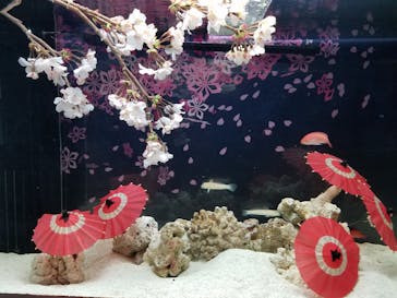 マクセル アクアパーク品川に投稿された画像（2022/3/15）