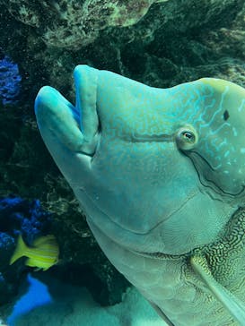 サンシャイン水族館に投稿された画像（2022/3/15）