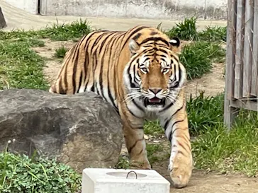 天王寺動物園に投稿された画像（2022/3/15）