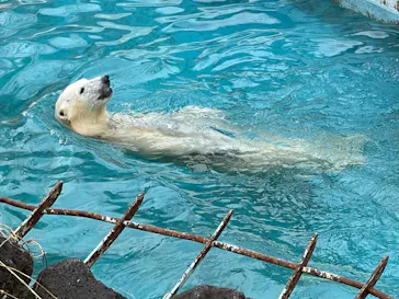 天王寺動物園に投稿された画像（2022/3/15）
