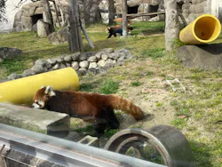 天王寺動物園 口コミ一覧 アソビュー