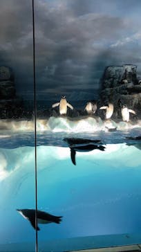 名古屋港水族館に投稿された画像（2022/3/15）