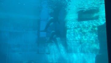 名古屋港水族館に投稿された画像（2022/3/15）