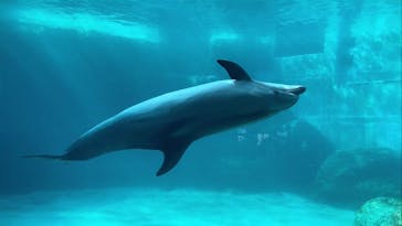 名古屋港水族館に投稿された画像（2022/3/15）