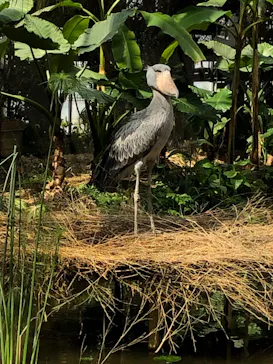 神戸どうぶつ王国に投稿された画像（2022/3/15）