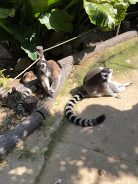 神戸どうぶつ王国に投稿された画像（2022/3/15）