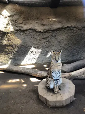 神戸どうぶつ王国に投稿された画像（2022/3/15）