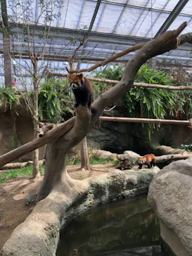 神戸どうぶつ王国に投稿された画像（2022/3/15）