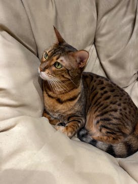 Moff animal world MARK IS みなとみらい店に投稿された画像（2022/3/15）