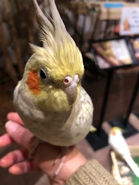 Moff animal world MARK IS みなとみらい店に投稿された画像（2022/3/15）