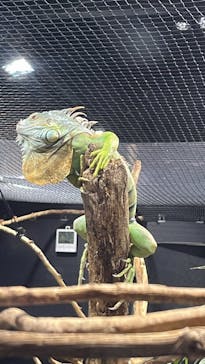 カワスイ 川崎⽔族館に投稿された画像（2022/3/15）