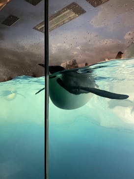 名古屋港水族館に投稿された画像（2022/3/15）