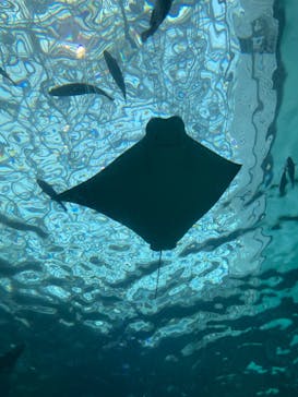 名古屋港水族館に投稿された画像（2022/3/15）