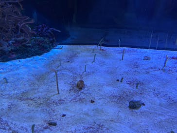 名古屋港水族館に投稿された画像（2022/3/15）