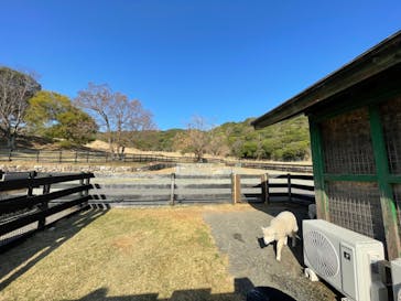 淡路ファームパーク イングランドの丘に投稿された画像（2022/3/15）