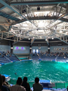 マクセル アクアパーク品川に投稿された画像（2022/3/16）