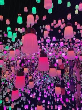 森ビル デジタルアート ミュージアム：エプソン チームラボボーダレスに投稿された画像（2022/3/16）