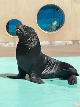 横浜・八景島シーパラダイスに投稿された画像（2022/3/16）