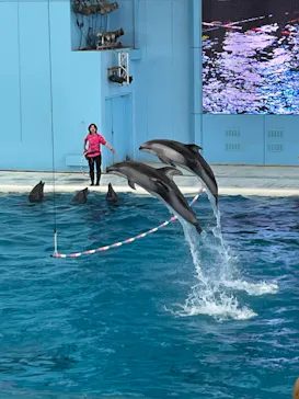 横浜・八景島シーパラダイスに投稿された画像（2022/3/16）