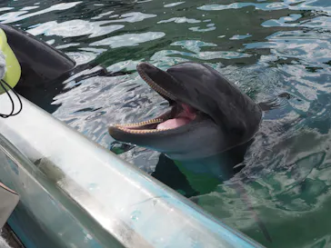 横浜・八景島シーパラダイスに投稿された画像（2022/3/16）