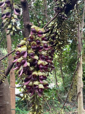 アスムイハイクスに投稿された画像（2022/3/16）