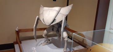 国立科学博物館　特別企画展「ポケモン化石博物館」に投稿された画像（2022/3/16）