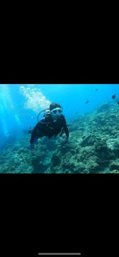 DIVING-SHOP SUNSに投稿された画像（2022/3/16）