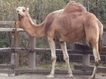 よこはま動物園ズーラシアに投稿された画像（2022/3/16）