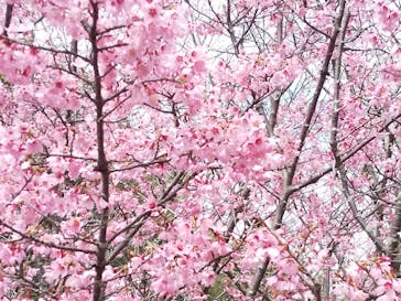 よこはま動物園ズーラシアに投稿された画像（2022/3/16）