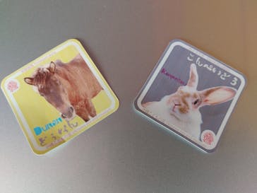 沖縄こどもの国に投稿された画像（2022/3/16）