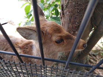 沖縄こどもの国に投稿された画像（2022/3/16）