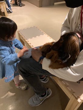 Moff animal world MARK IS みなとみらい店に投稿された画像（2022/3/16）