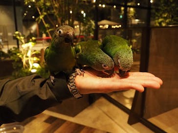 Moff animal world MARK IS みなとみらい店に投稿された画像（2022/3/16）