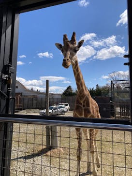 那須サファリパークに投稿された画像（2022/3/16）