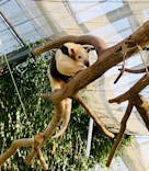 神戸どうぶつ王国に投稿された画像（2022/3/17）