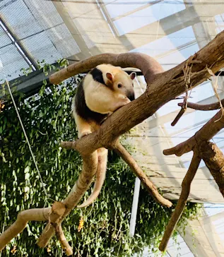 神戸どうぶつ王国に投稿された画像（2022/3/17）