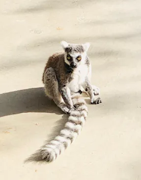 神戸どうぶつ王国に投稿された画像（2022/3/17）