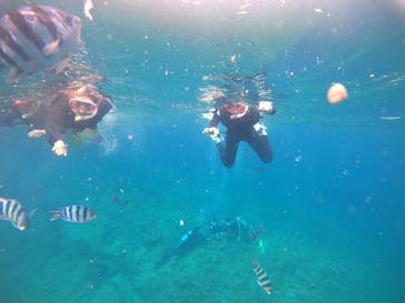 武藤潜水に投稿された画像（2022/3/17）